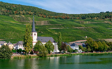 Vineyards in Piesport on the Moselle